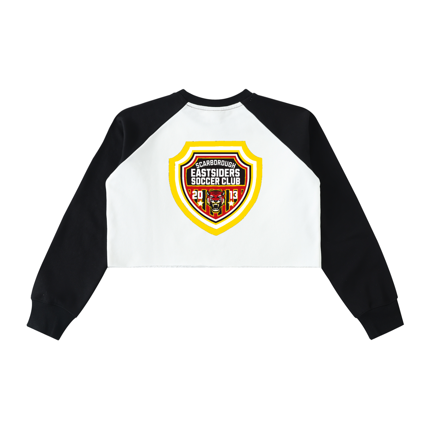 FLYWLKR X EASTSIDERS SC Raw-Hem Color-Block Raglan Crop Sweatshirt