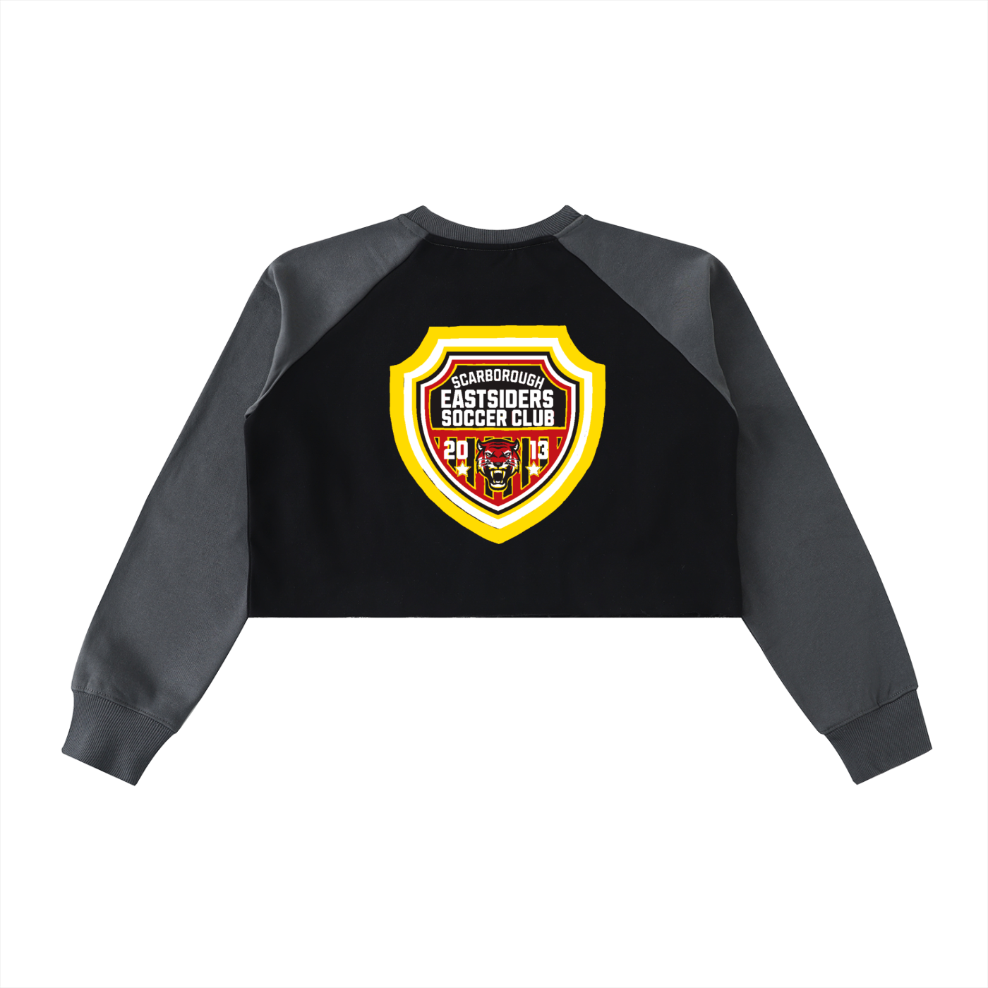 FLYWLKR X EASTSIDERS SC Raw-Hem Color-Block Raglan Crop Sweatshirt