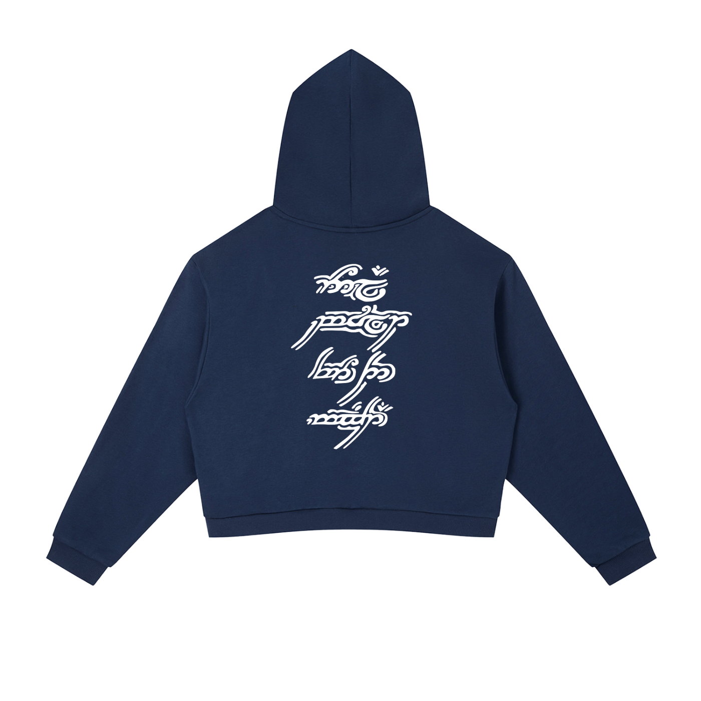 FLYWLKR "ORIGINALS" Contrast Side Stripe Cropped Hoodie