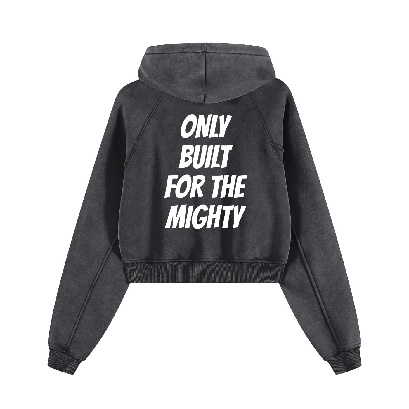 FLYWLKR "BREDY LANE SOCIAL CLUB" Snow Washed Cropped Hoodie
