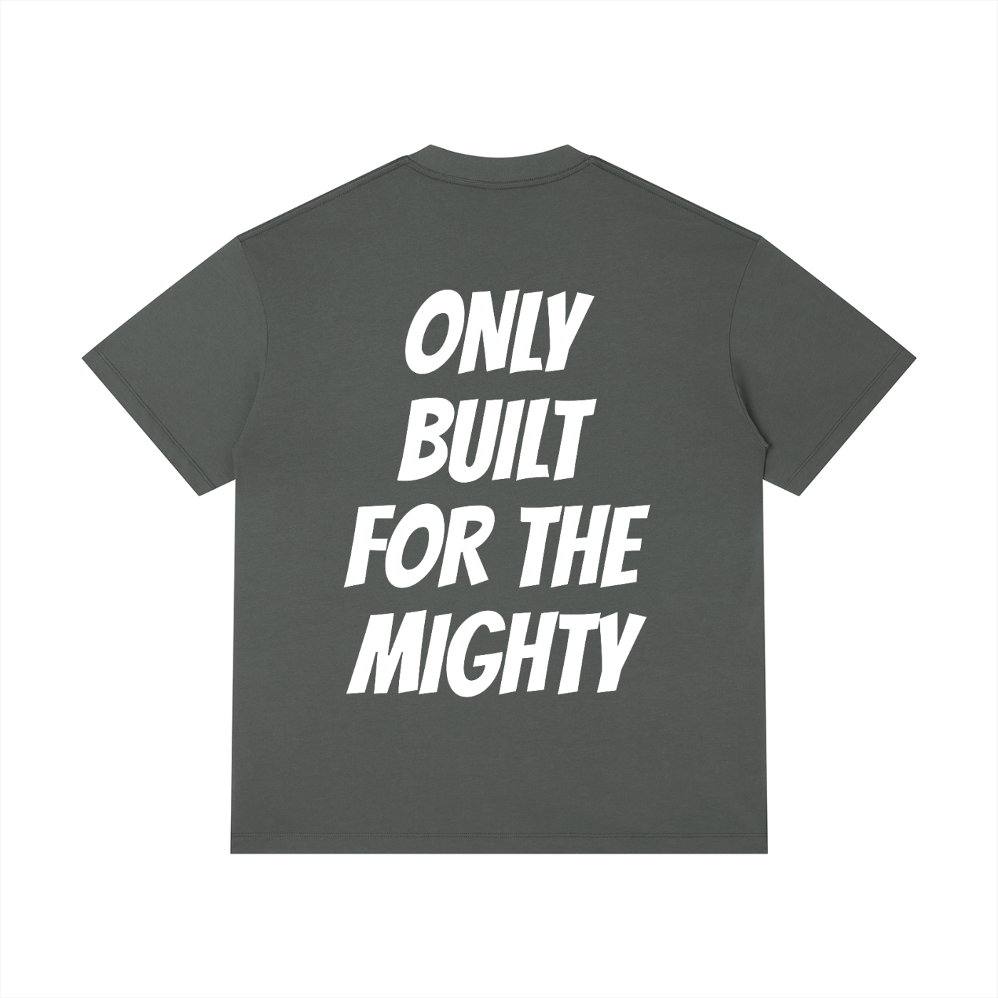 Unisex Regular Fit Crewneck T-Shirt