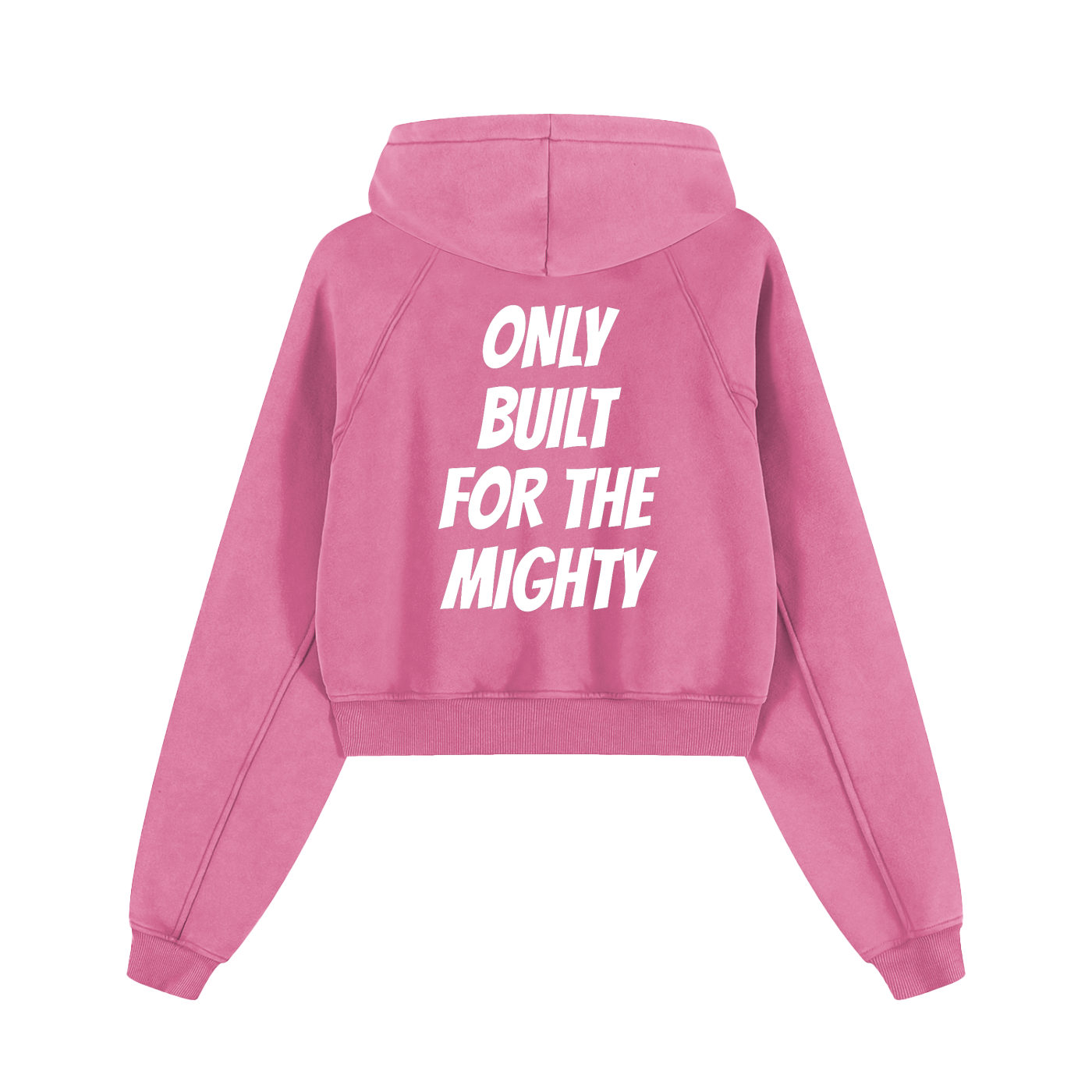 FLYWLKR "BREDY LANE SOCIAL CLUB" Snow Washed Cropped Hoodie
