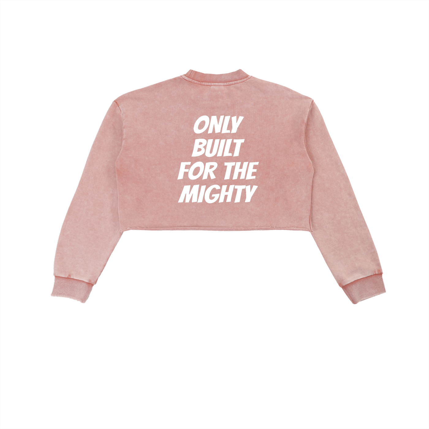 FLYWLKR "BREDY LANE SOCIAL CLUB" Snow Washed Raw Edge Cropped Sweatshirt